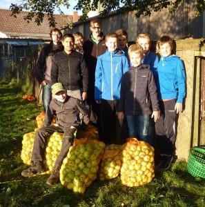 Apfelsammelaktion 2016