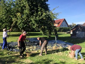 Apfelsammelaktion
